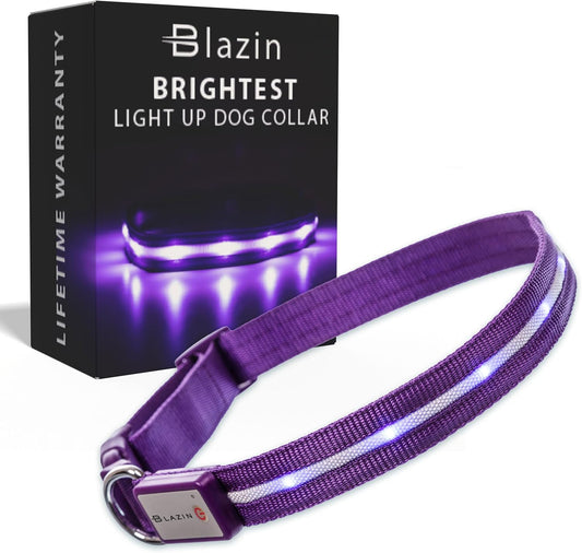 ' Safety LED Dog Collar – USB Rechargeable with Water Resistant Flashing Light