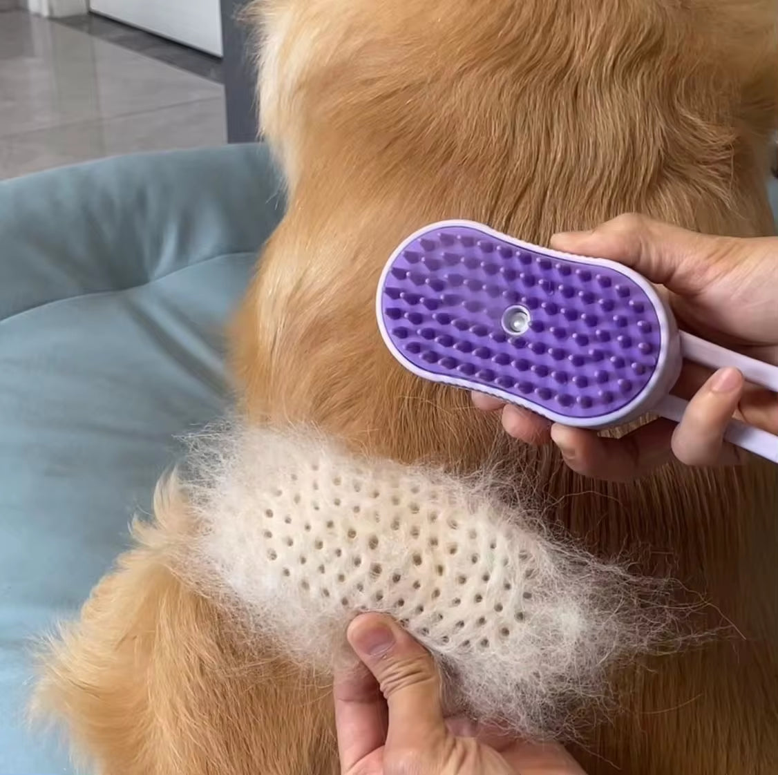 Hair Removal & Massage Electric Pet Spray Comb